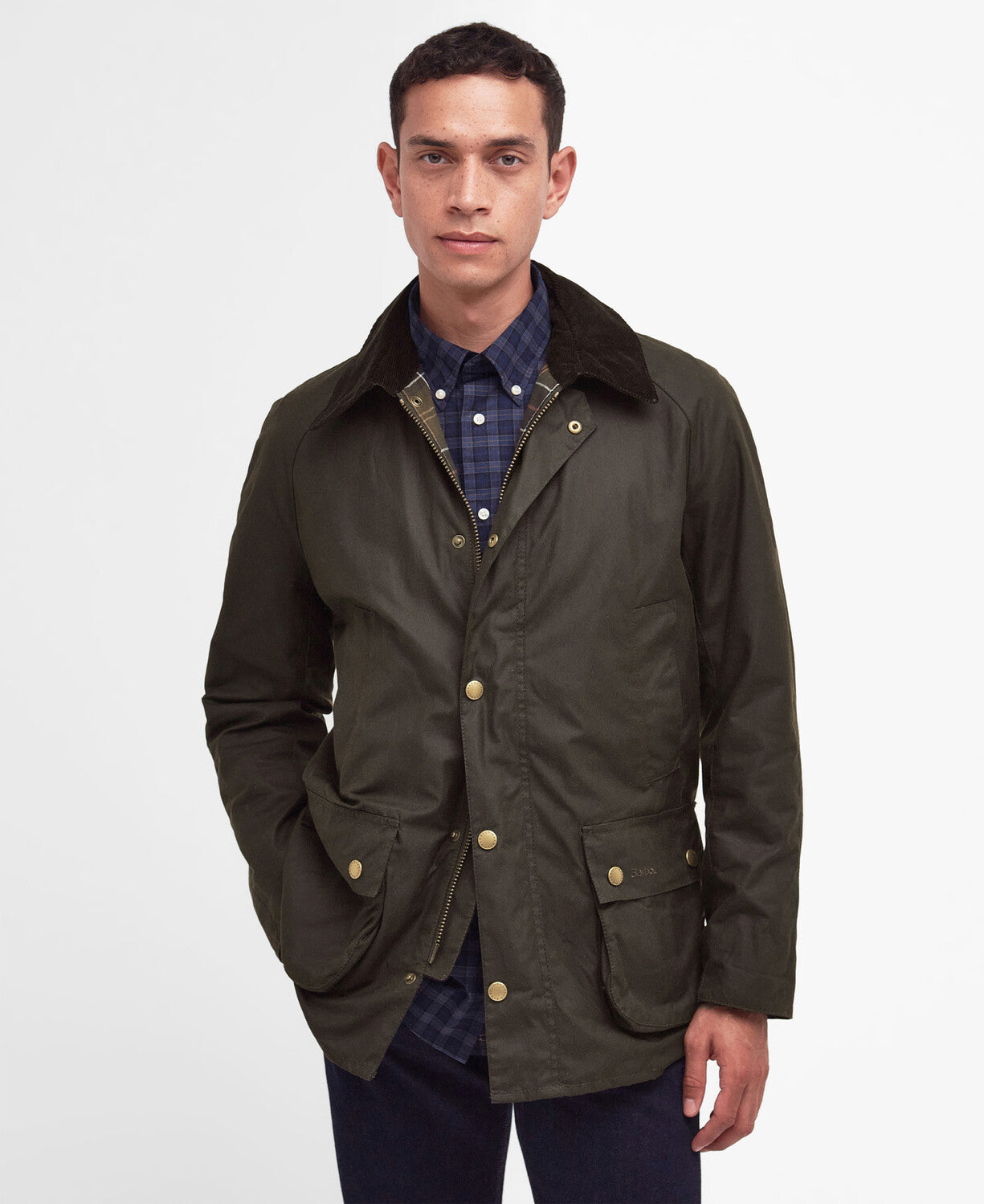 Giacca Ashby in Cotone Cerato Verde